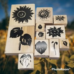 Stampin' Up! NEW Summer Sunflower Stamps 11